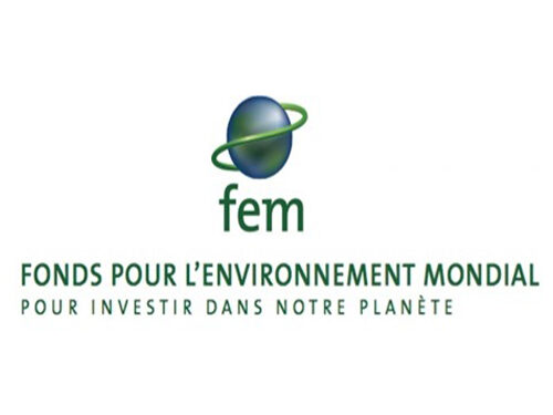 Le Gabon éligible au financement du FEM pour sa protection de l’environnement