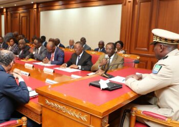 Référendum : le camp du « NON » s&rsquo;entretient avec le Président Oligui Nguema
