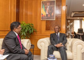 Le Gabon participera au sommet India-Afrique business  
