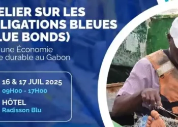 Un atelier d’orientation  stratégique sur les Obligations bleues se tient à Libreville