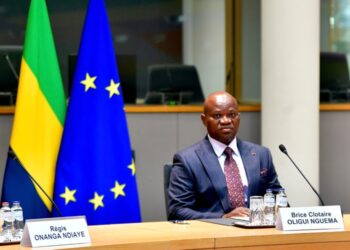 Accord de pêche entre le Gabon et l’Union européenne la houle s&rsquo;estompe.