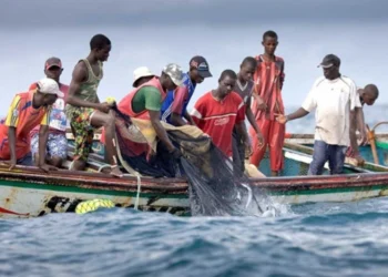 Laurence Ndong initié le projet Gab Pêche.