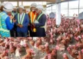 Poulet de chair : Libreville refuse de reculer face à Washington